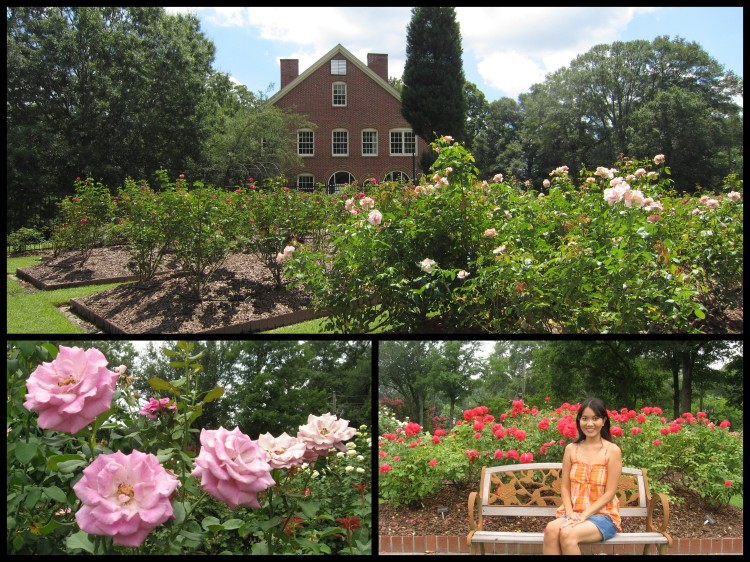 The Robert L. Staton Memorial Rose Garden